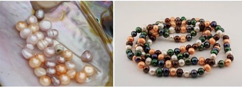 dinh-gia-ngoc-trai-that-11