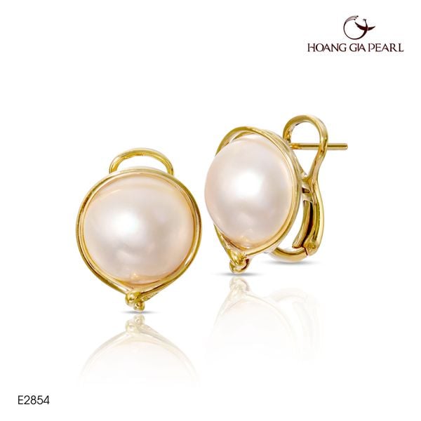 Bông tai ngọc trai E2854