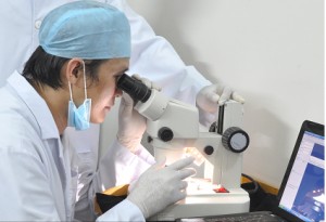 may soi ngoc trai 300x205 KIỂM ĐỊNH NGỌC TRAI TẠI NGỌC TRAI HOÀNG GIA Hinh tại Ngoc Trai Hoang Gia Nuôi cấy ngọc trai va chế tác nữ trang, trang sức Ngọc trai gắn đá quý, cung cấp ngọc trai thật với giá gốc may soi ngoc trai 300x205 KIỂM ĐỊNH NGỌC TRAI TẠI NGỌC TRAI HOÀNG GIA