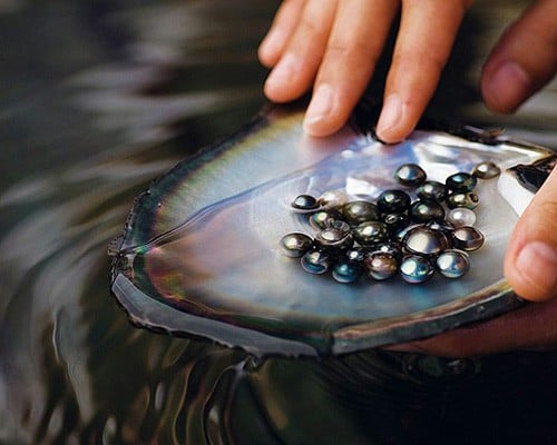 Vì sao ngọc trai Tahiti hàng trăm nghìn đô được 'sủng ái' - Hoàng Gia Pearl