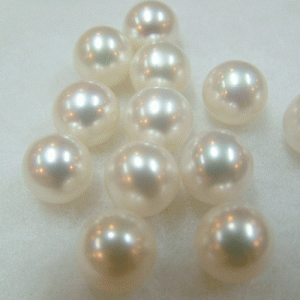 ngoc trai gia ngoc trai gia