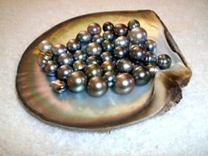 ngoc trai chua nhieu chat chong ung thu