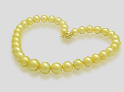 ngoc trai southsea voi mau vang kim ruc ro ngoc trai southsea voi mau vang kim ruc ro