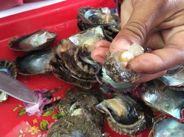 nhung con trai sau khi duoc tach ra lay ngoc