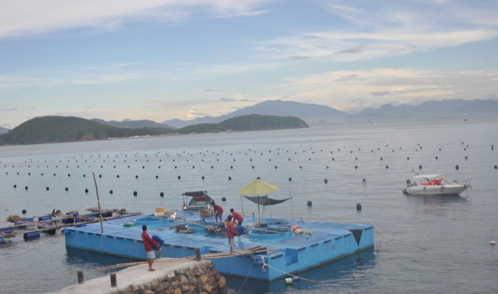 Trại nuôi của Cty Ngọc Trai Hoàng Gia tại đảo Hòn Tằm – Nha Trang