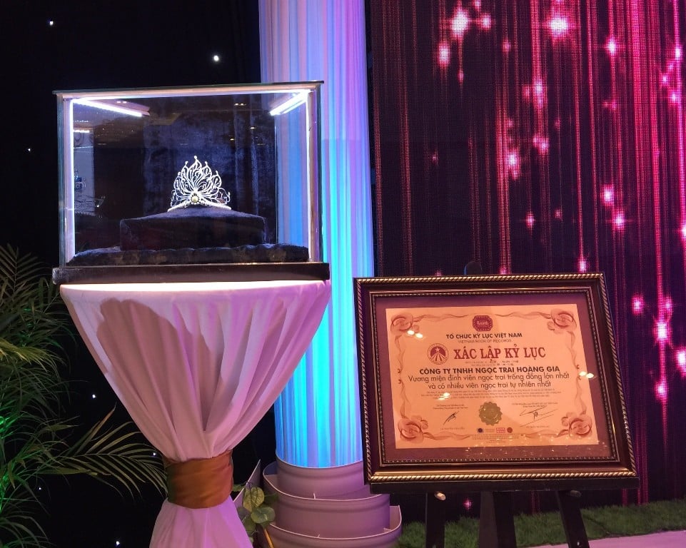 Vương miện và bằng xác lập kỷ lục gia đã trở thành điểm nhấn cho cuộc thi Hoa hậu VN 2014