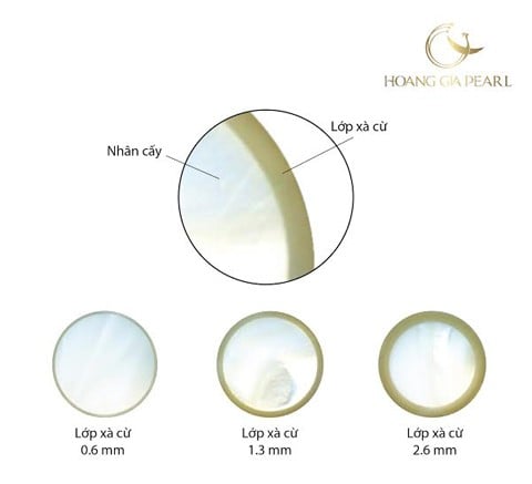 Cắt đôi 3 viên ngọc trai biển có cùng kích thước nhưng chúng ta thấy rõ độ dày xà cừ rất khác nhau Cắt đôi 3 viên ngọc trai biển có cùng kích thước nhưng chúng ta thấy rõ độ dày xà cừ rất khác nhau