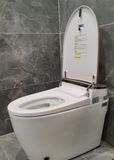  Smart Toilet Tkm-123g 
