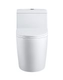 One-Piece Toilet Tkm-116 