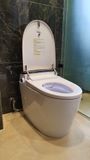  Smart Toilet Tkm-123g 