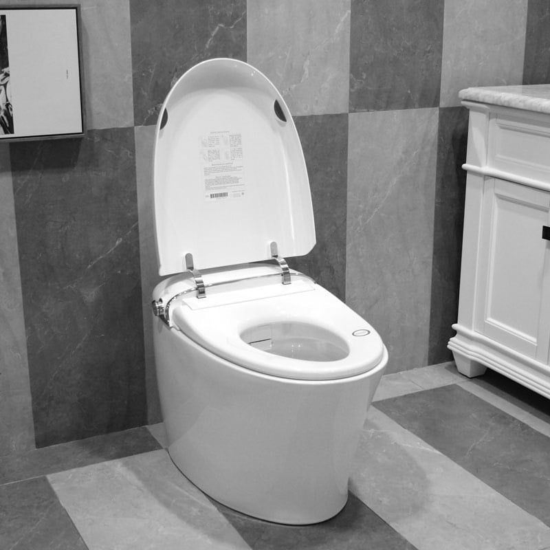  Smart Toilet Tkm-131 