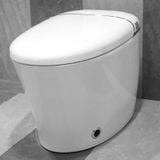  Smart Toilet Tkm-131 