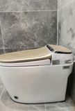 Smart Toilet Tkm-123g 