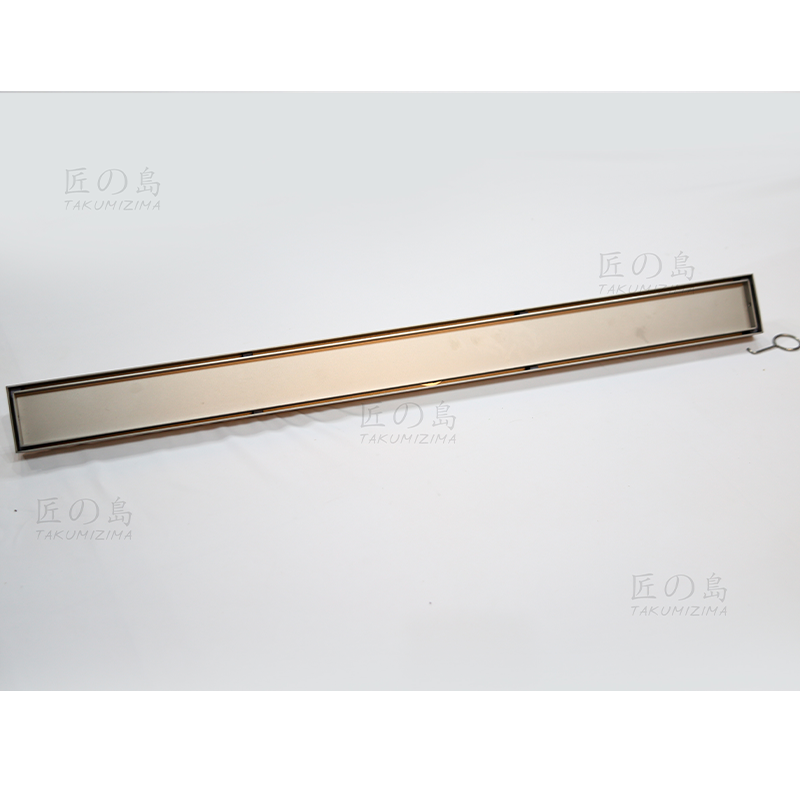  Floor Drain Ts-600b1 