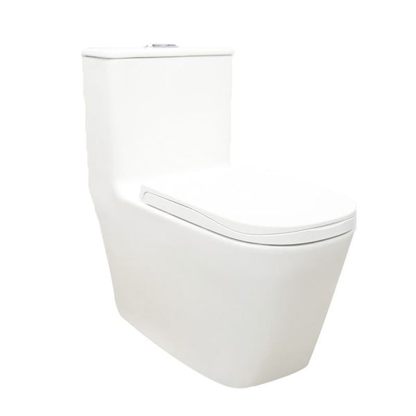  One-Piece Toilet Tkm-134f 