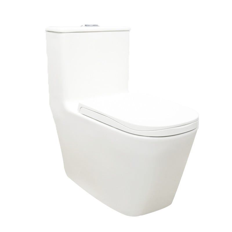  One-Piece Toilet Tkm-134f 