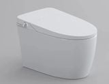  Smart Toilet Tkm-136 