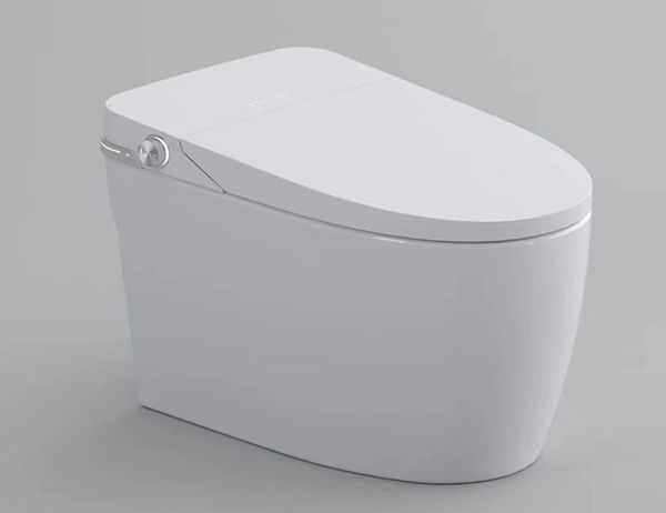  Smart Toilet Tkm-136 