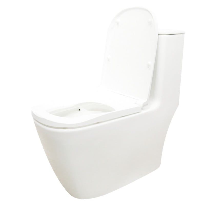  One-Piece Toilet Tkm-134f 