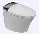  Smart Toilet Tkm-133 