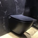 Wall-Mounted Toilet Tkm-150mb-f 
