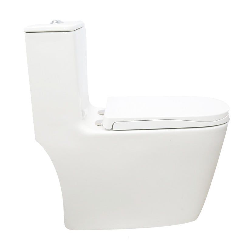  One-Piece Toilet Tkm-134f 