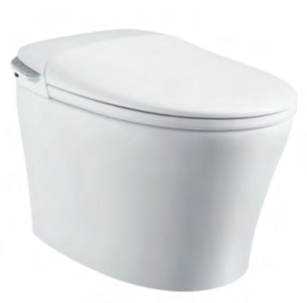  Smart Toilet Tkm-132 