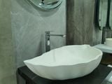  Faucet Cs-1141c 