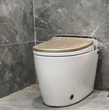  Smart Toilet Tkm-123g 