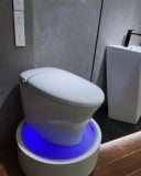  Smart Toilet Tkm-131 