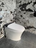  Smart Toilet Tkm-133 