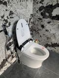  Smart Toilet Tkm-133 