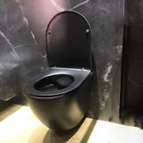  Wall-Mounted Toilet Tkm-150mb-f 