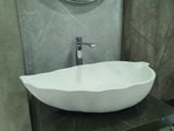  Faucet Cs-1141c 