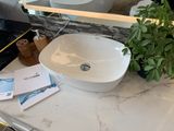  Chậu rửa dương bàn Bs-698b 