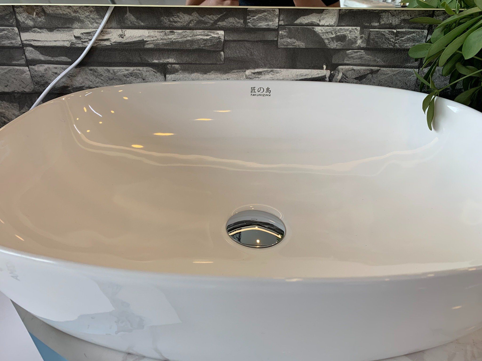  Chậu rửa dương bàn Bs-698b 