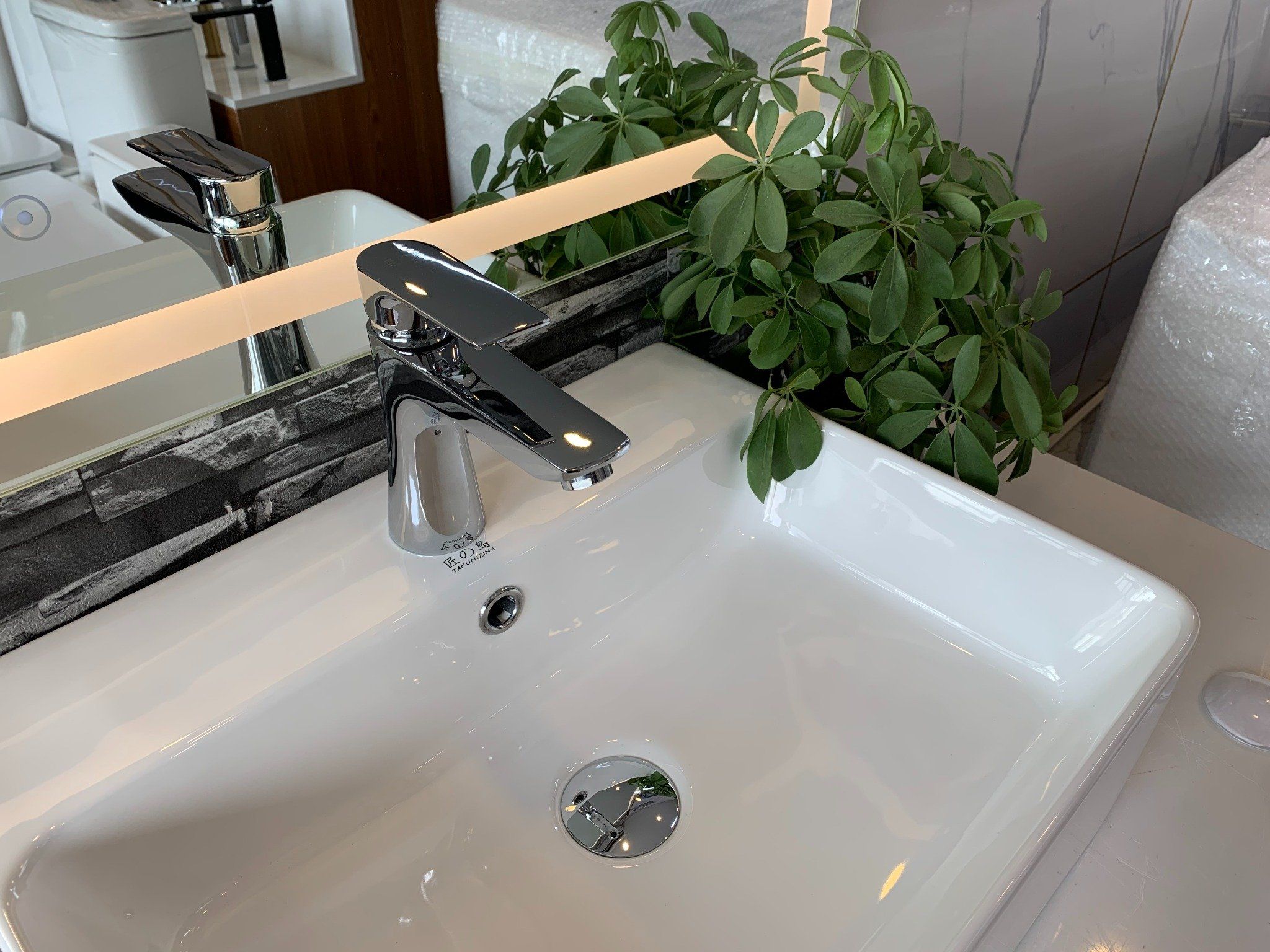  Chậu rửa dương bàn Bs-220 