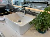  Chậu rửa dương bàn Bs-220 