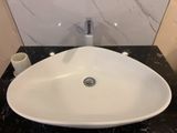  Chậu rửa dương bàn men mờ Bs-260-m 