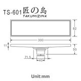  Floor Drain Ts-601 