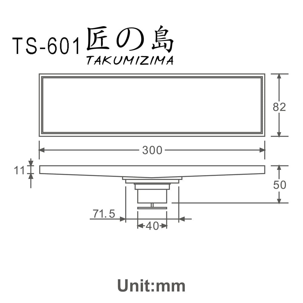  Floor Drain Ts-601 
