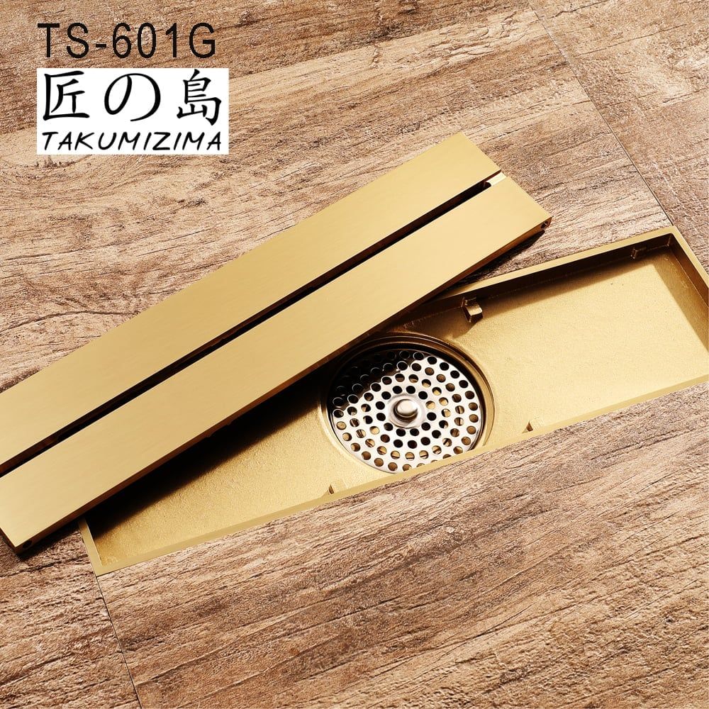  Floor Drain Ts-601G 