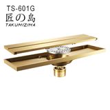  Floor Drain Ts-601G 