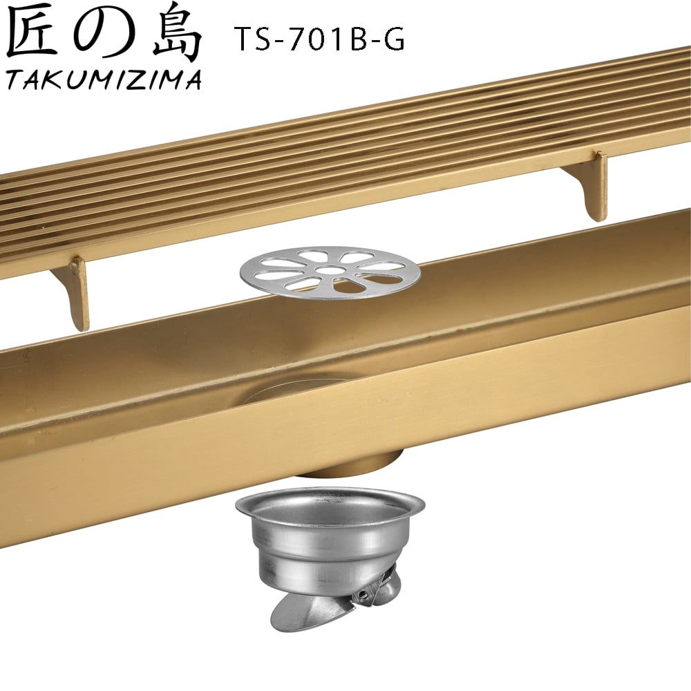  Floor Drain Ts-701b-g 