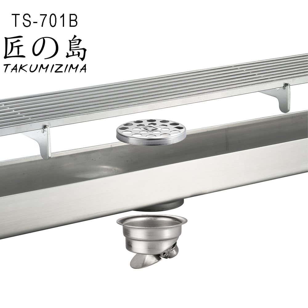  Floor Drain Ts-701b 