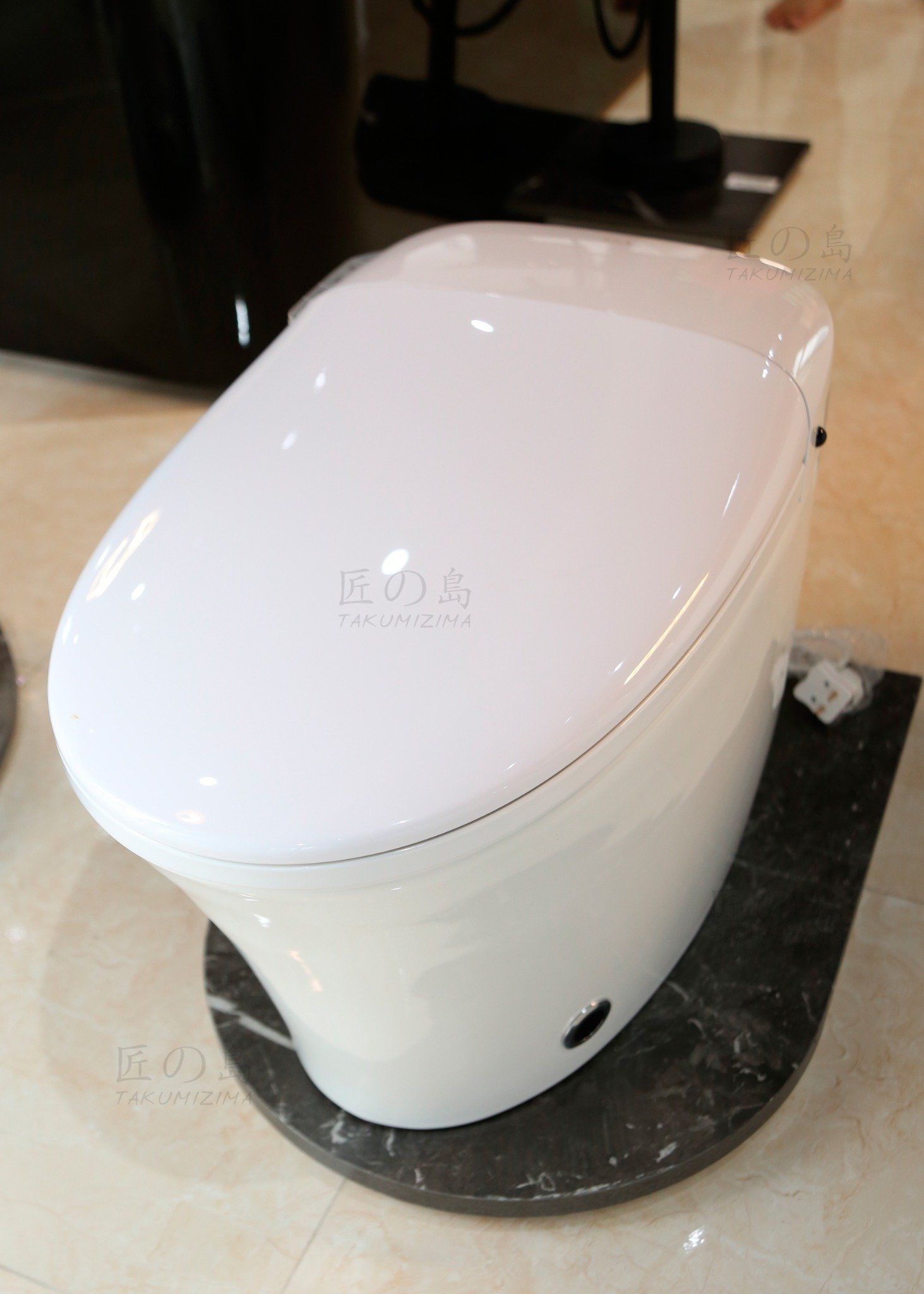  Smart Toilet Tkm-132 