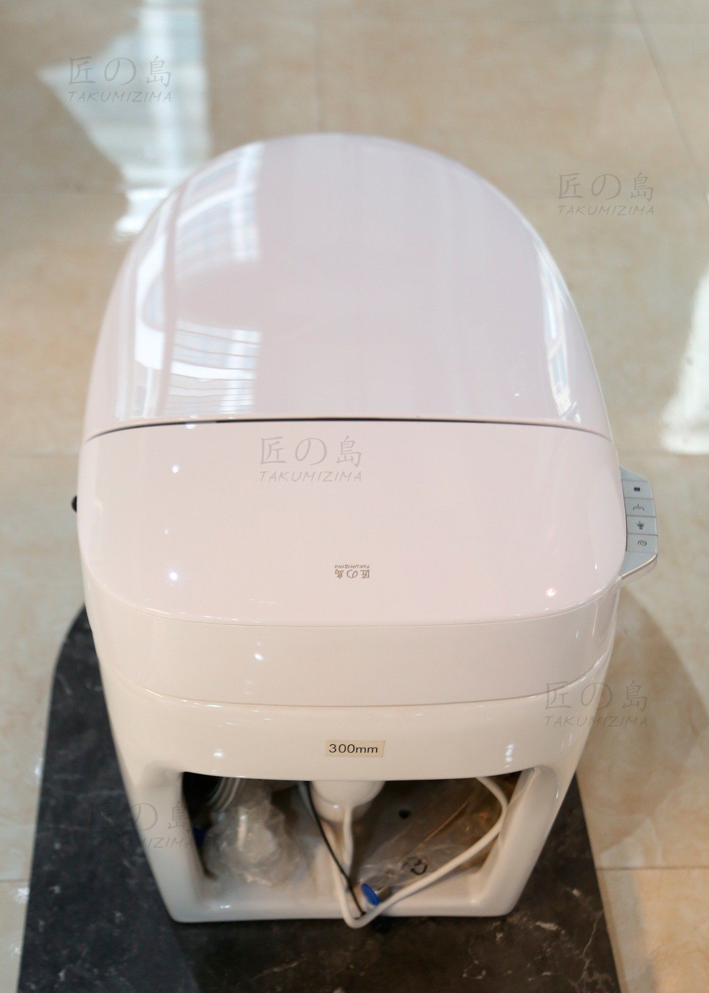  Smart Toilet Tkm-132 
