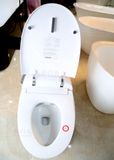  Smart Toilet Tkm-132 
