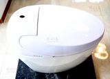  Smart Toilet Tkm-120 