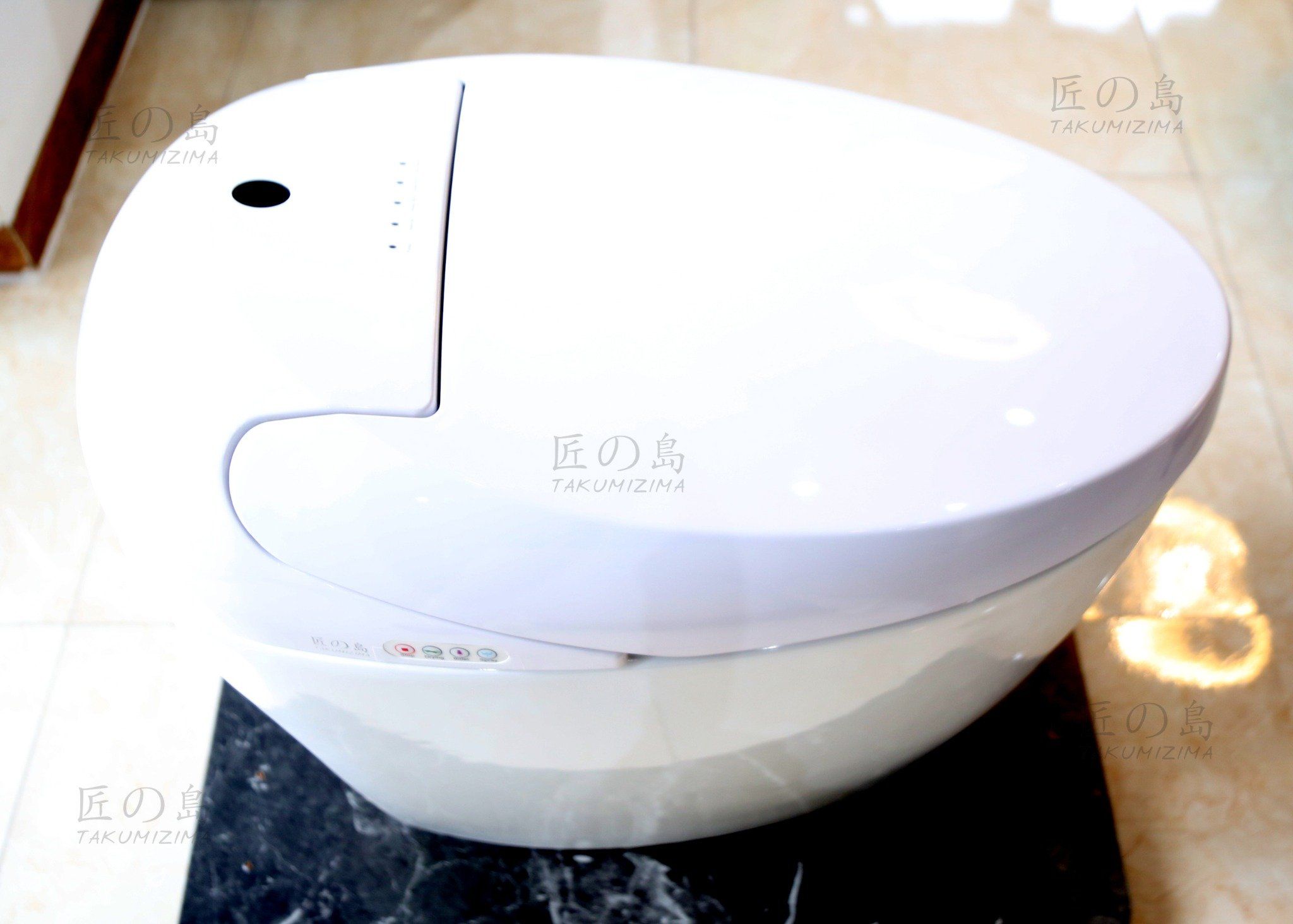  Smart Toilet Tkm-120 